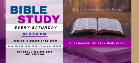 Weekly Bible Study